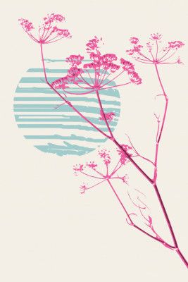 Plant based happyness Fennel still life