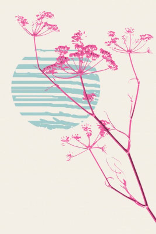 Plant based happyness Fennel still life