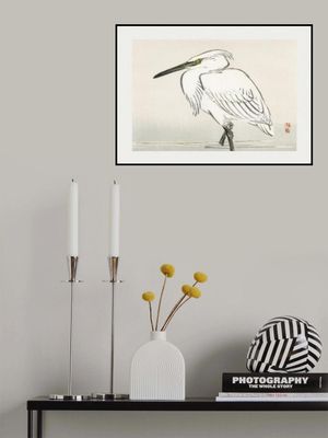 Snowy Egret