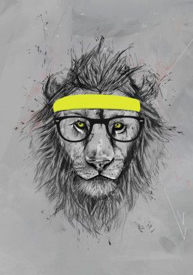 Hipster lion