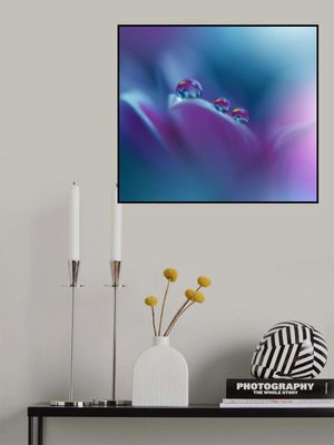 Memories of Sea..III