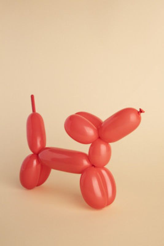 Red Balloon Dog