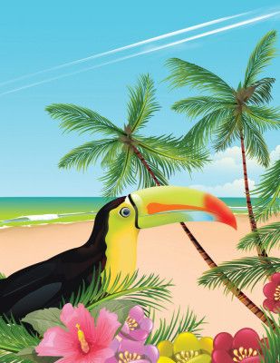 Toucan on a Beach