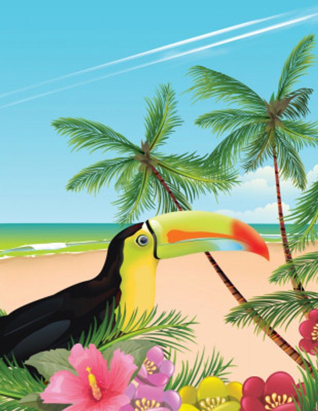Toucan on a Beach