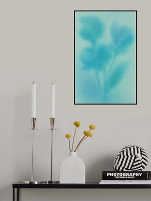 Aqua Bloom Silhouette