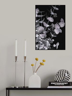 Eucalyptus_Negative_003