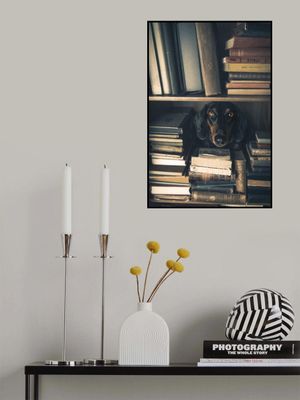 Der kleine Bibliothekar - Little Librarian