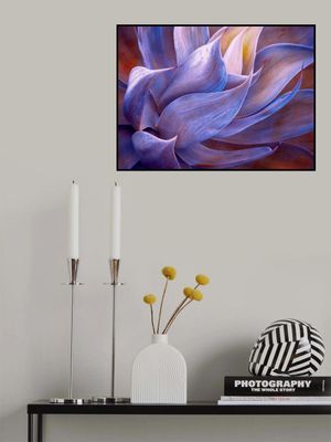 That early morning violet glow