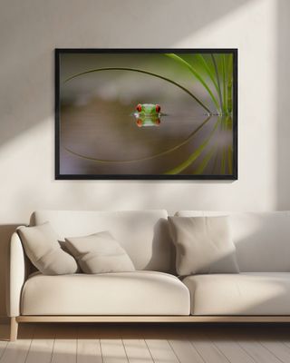 Beauty of Reflection