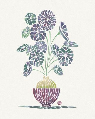 Stephania Erecta (cream-navy)