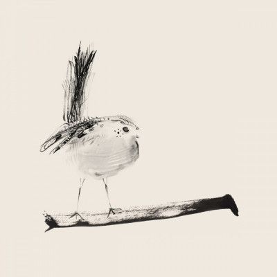 Sketched Bird On Branch