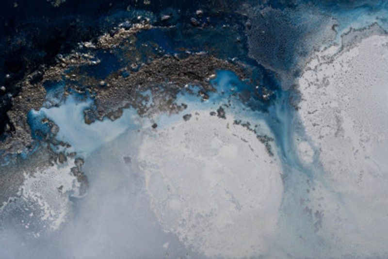 Abstract Coastal - Liberation