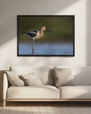 Complementary colors