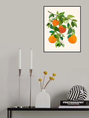 Oranges and Blossoms II