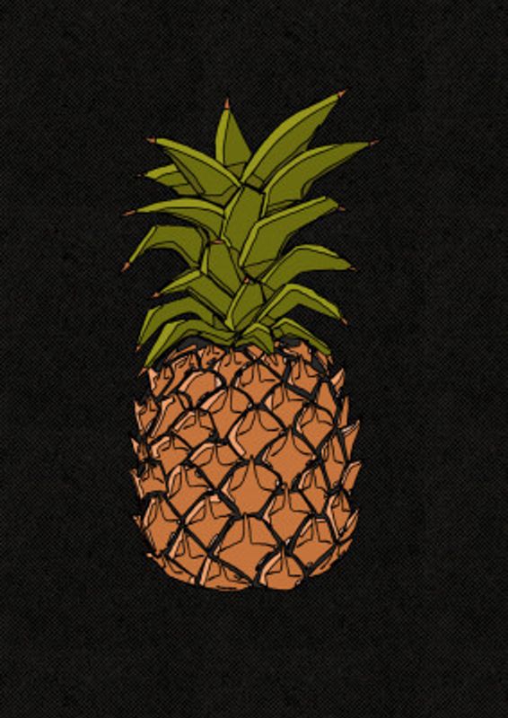 Stylized Pineapple Illustration