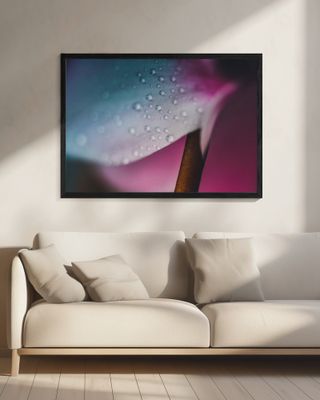 Delicate Water Droplets