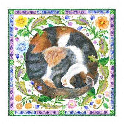 Calico Cat