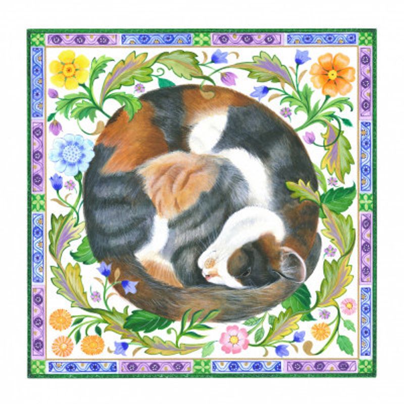Calico Cat
