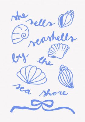 Seashell Serenity