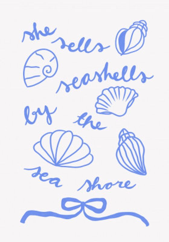 Seashell Serenity