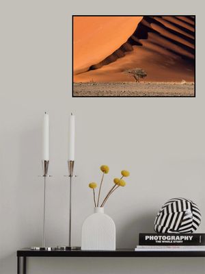 The dune and the tree