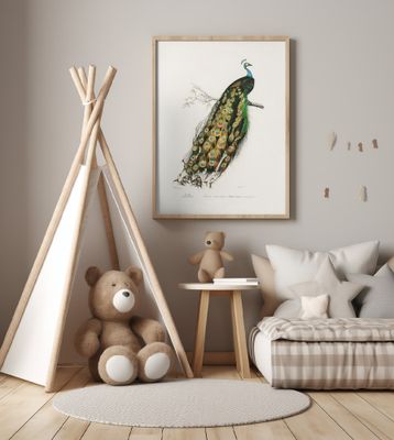 Indian Peafowl Peacock