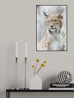 Lynx portrait in the fog