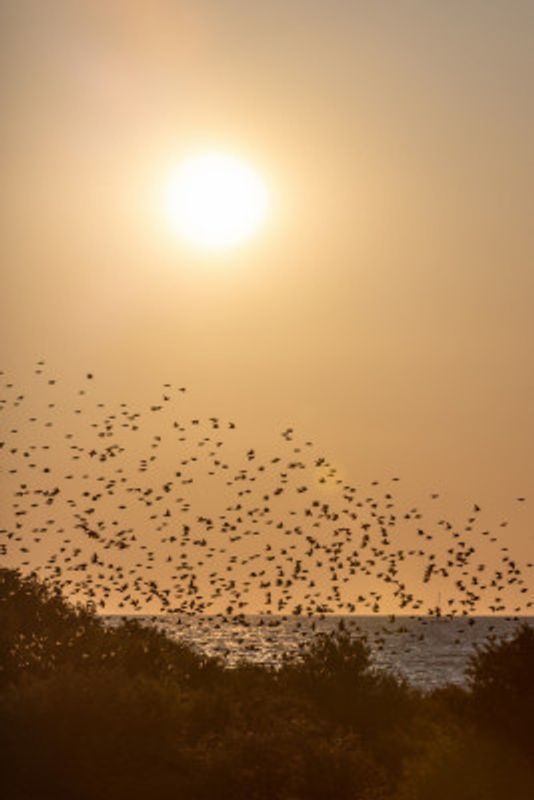 Summer Evening at the Beach