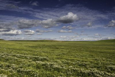 Fields Under Sky
