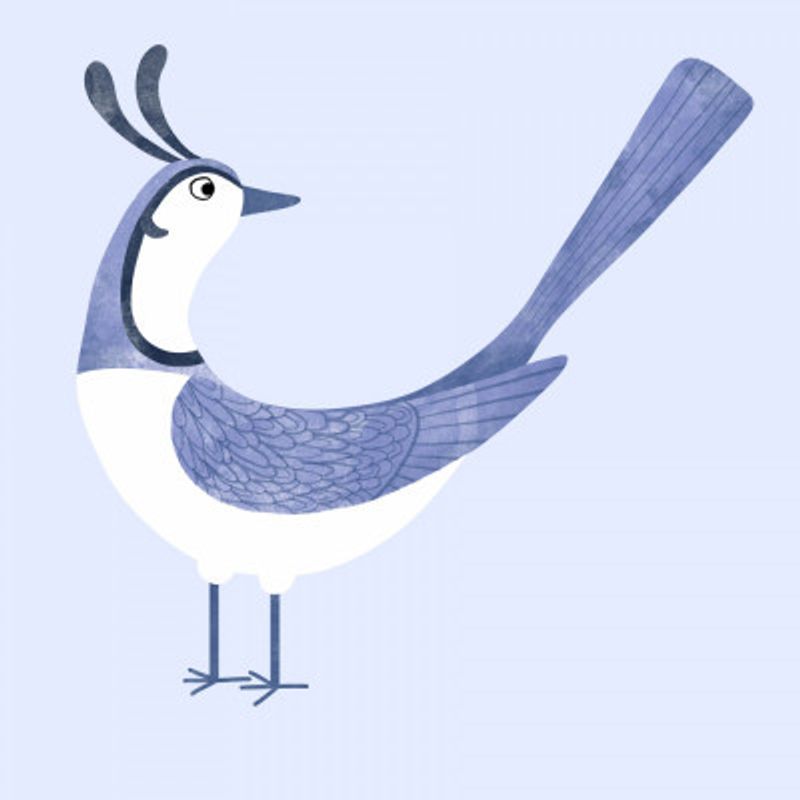 Whimsical Bird Blue