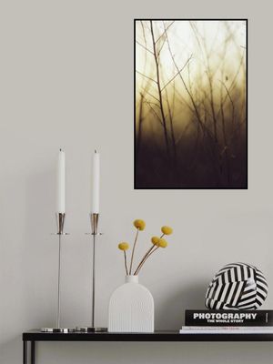 The Serene Beauty of Nature