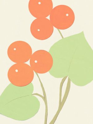 Simple Still Life with Orange Berries