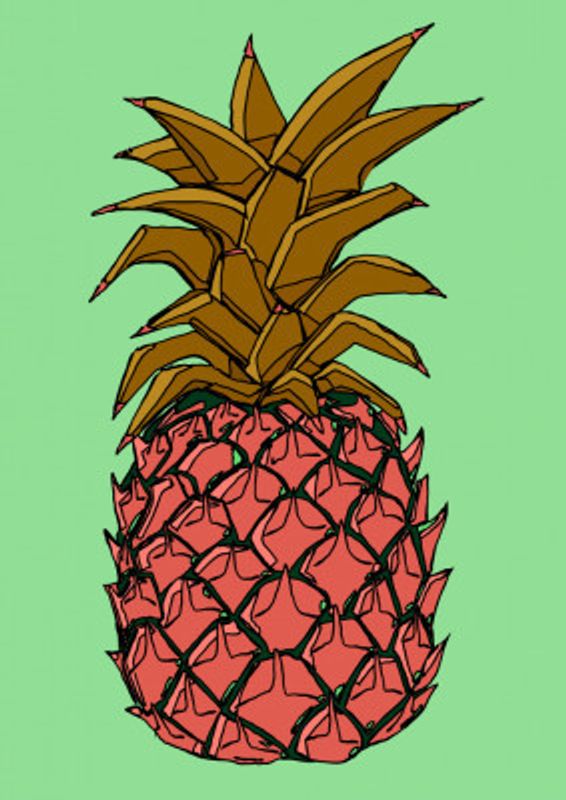 Pineapple Fruit