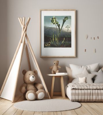 American Bog Plants from The Temple of Flora (1807)