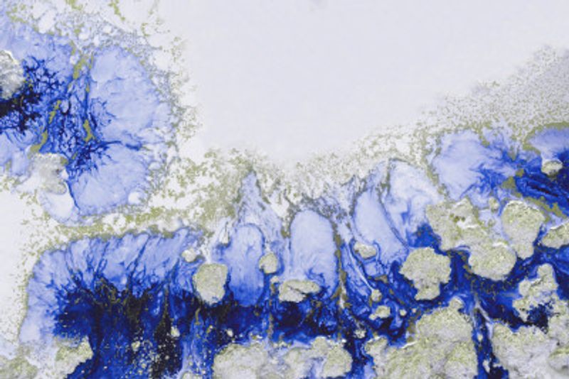 Coastal Blue - Treasure Reef