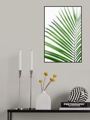 Green Palm Leaf