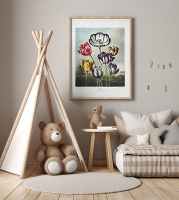 Tulips from The Temple of Flora (1807)