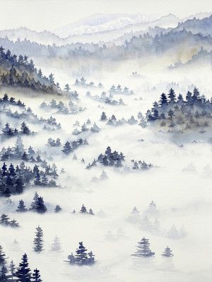 Winter Landscape With Pine Forest and Morning Mist