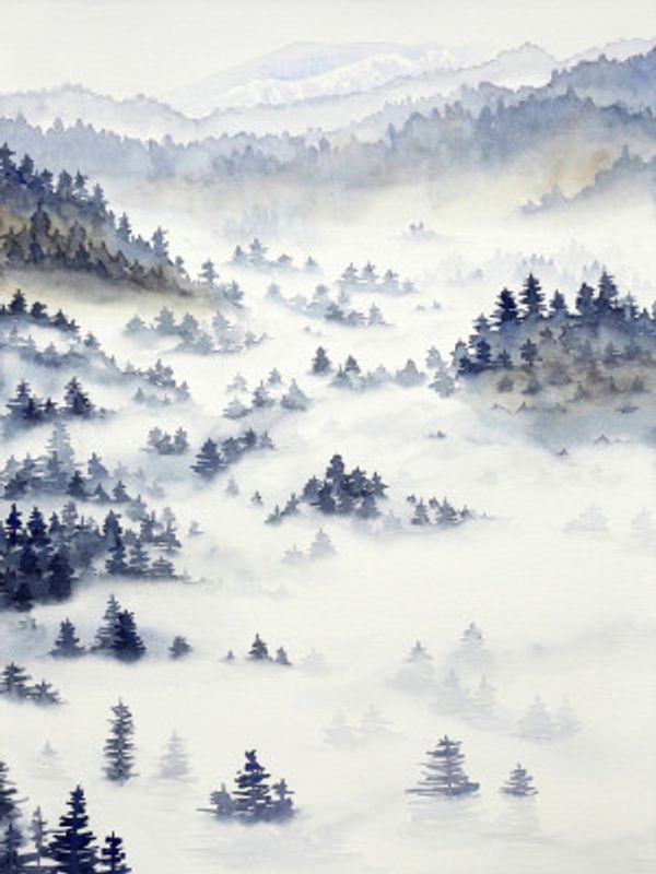 Winter Landscape With Pine Forest and Morning Mist
