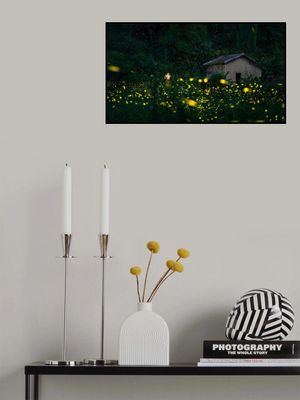 A little girl and firefly