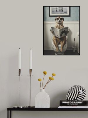 Meerkat In the Bathroom