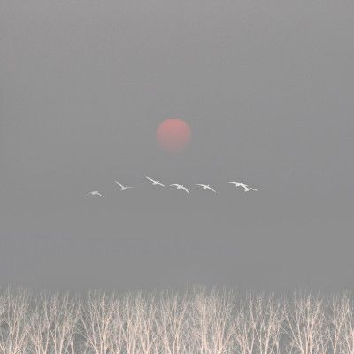 There are gods in the sky