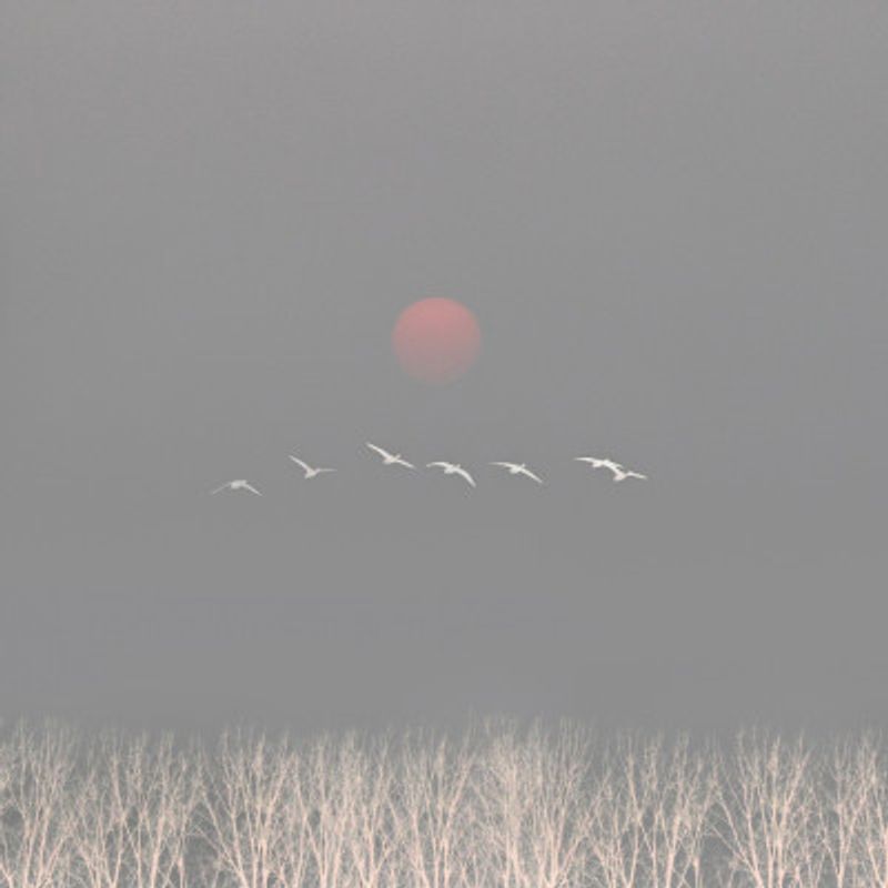 There are gods in the sky