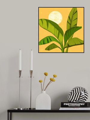 Sunny Golden Tropics