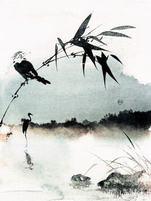 Misty Bamboo Morning