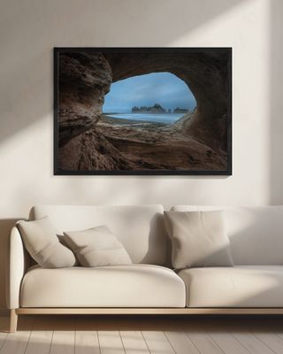 View from a Hollow Tree