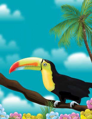 Toucan Perched On A Branch