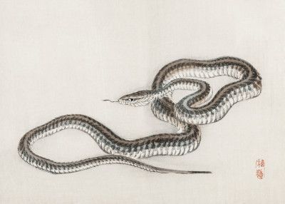 Snake By Kōno Bairei (1844 1895)
