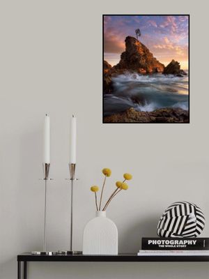 One Tree, Cuttagee Beach