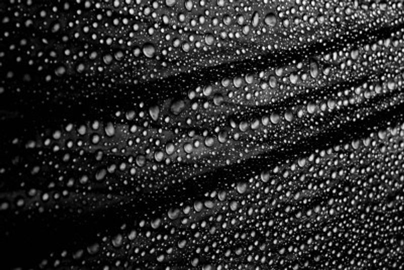 Cultured Rain Pearls